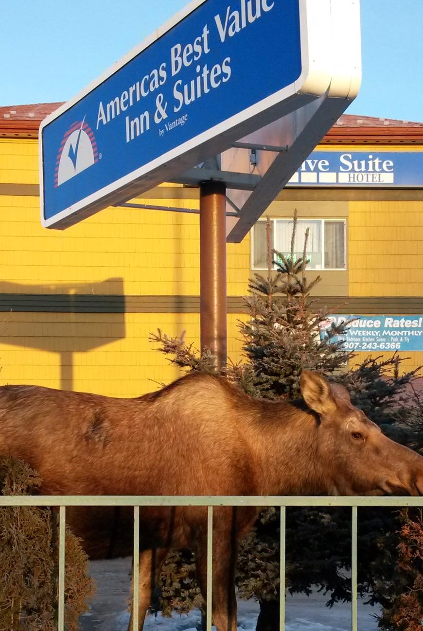 Americas Best Value Inn & Suites Anchorage Airport Eksteriør bilde