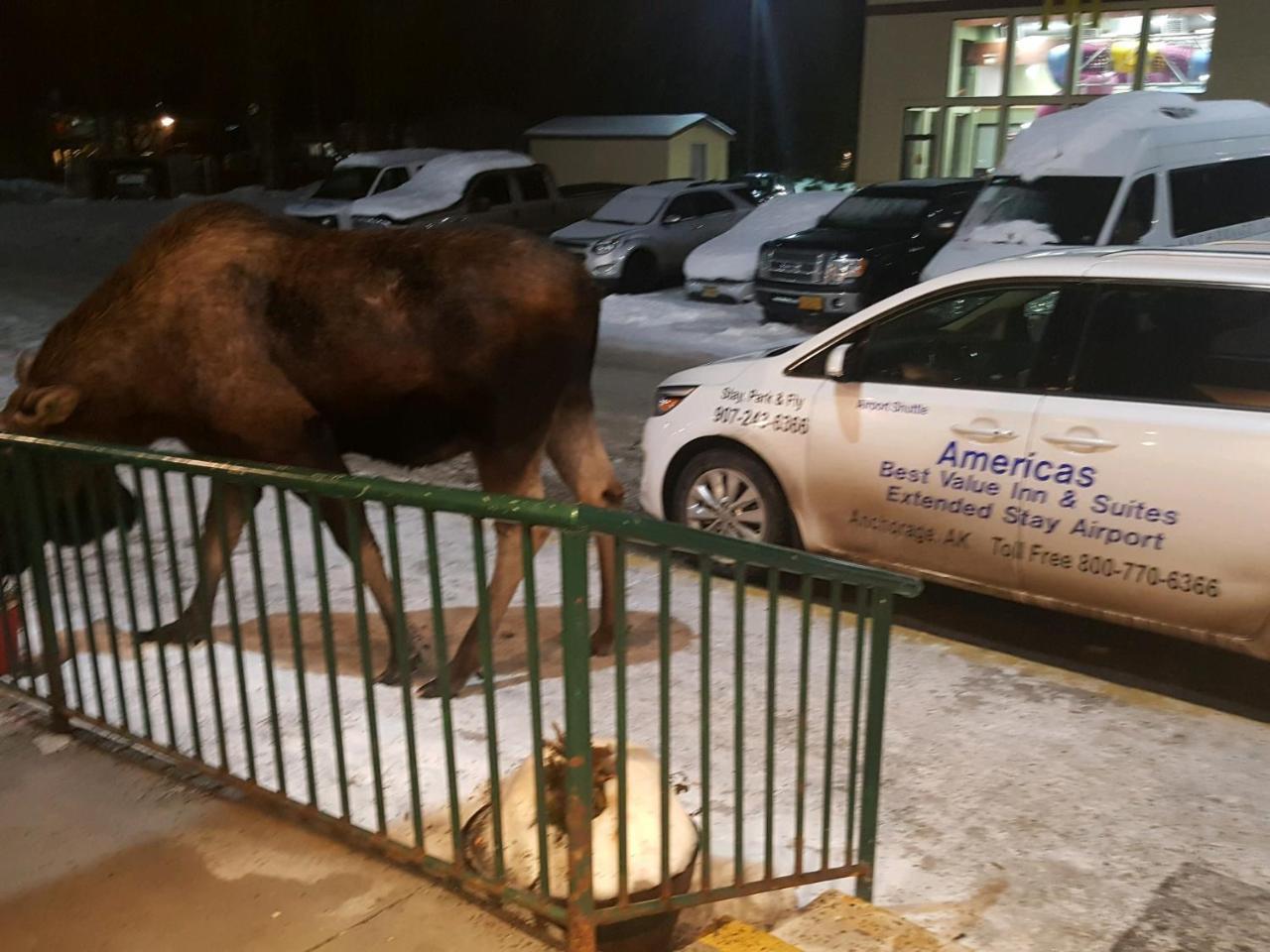Americas Best Value Inn & Suites Anchorage Airport Eksteriør bilde
